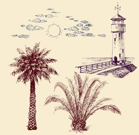 Graphic design elements set. Lighthouse, palm trees, sun and cloudsのイラスト素材