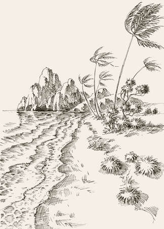 Windy day at the beach hand drawing. Wind in the palm trees landscapeのイラスト素材