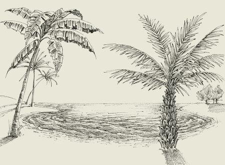 Palm trees on the beach drawing. Sea shore backgroundのイラスト素材