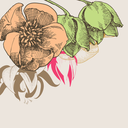 Corner decoration flowers hand drawing. Lilies floral cardのイラスト素材