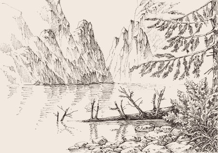 Mountain landscape pine trees forest, river flowing through rocky mountainsのイラスト素材