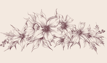 Christmas flower, poinsettia and mistletoe garland hand drawing, cute holiday ornamentsのイラスト素材