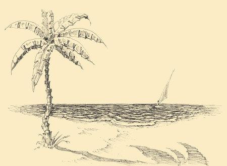 Palm tree on sea shore vector hand drawingのイラスト素材