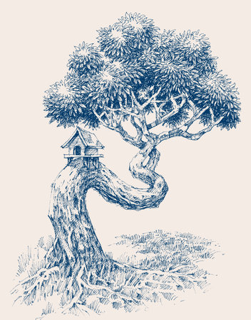 A twisted trunk tree with a bird house drawingのイラスト素材