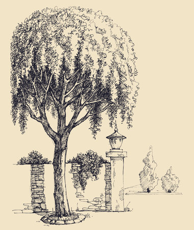 Park entrance hand drawing, willow tree landscapeのイラスト素材