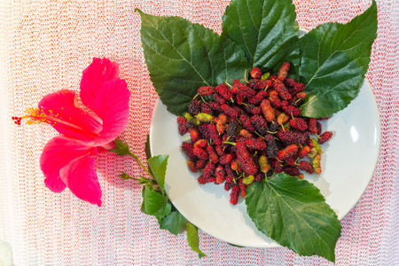 Mulberries  in dish, placed on the tableの写真素材