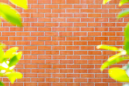 Red brick walls with green leaf edgesの写真素材