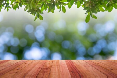 Old wood plank with abstract natural green blurred bokeh background for product displaの写真素材