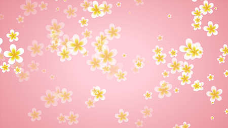 leiwadi flowers on a pink backgroundの写真素材