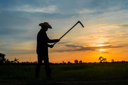 Male farmer holding a hoe in a field at sunsetの写真素材