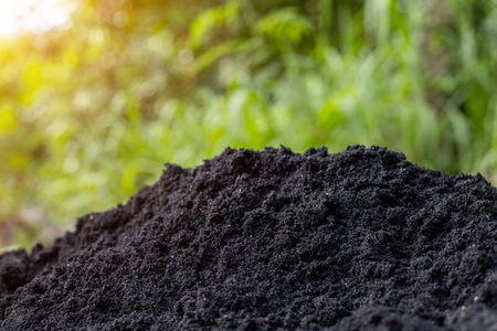 Soil and black husks to prepare for plantingの写真素材