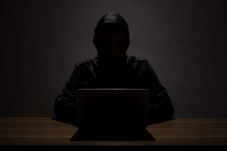 Network security and privacy crime.