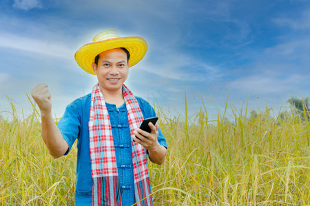 Asian peasants in robes and hats are in a field of golden rice fields.の写真素材