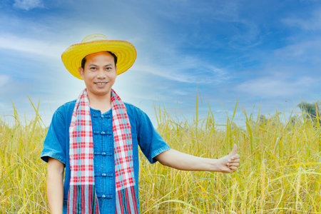Asian peasants in robes and hats are in a field of golden rice fields.の写真素材