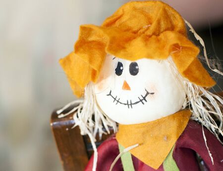 Scarecrow clothed in orange and redの写真素材