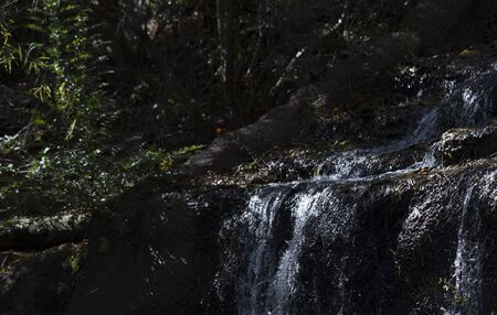 Small waterfall in natureの写真素材