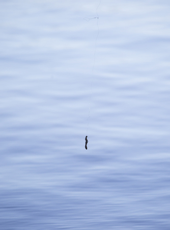 Lost fishing lure hanging from a tree against a blue water backgroundの写真素材