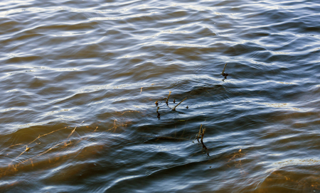 Small, rolling waves in the center of a murky lakeの写真素材