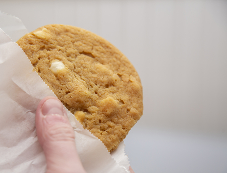 Close up of a hand holding a macadamia nut cookie