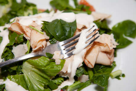 Romaine lettuce, tomato, and chicken lunchmeat drizzled in ranch dressingの写真素材