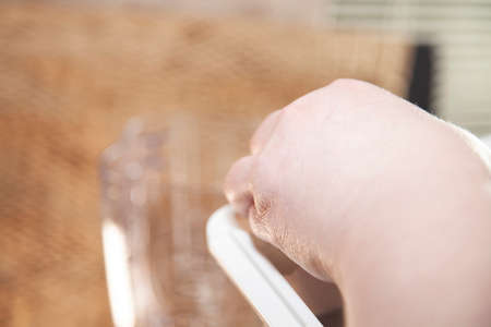 Removing an ice cube from an ice trayの写真素材