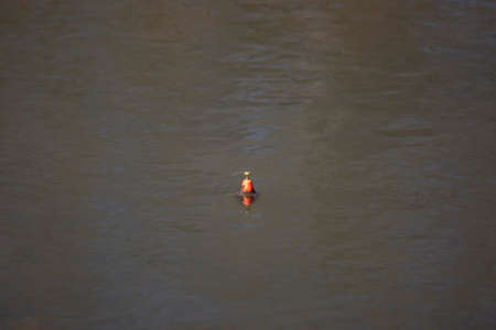 Red cork bobber in muddy and rippling water