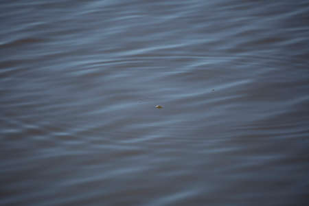Bubble in a circular ripple of choppy water