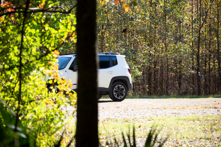 WHITE JEEP TRAILHAWK, TENSAS NATIONAL WILDLIFE REFUGE, LOUISIANA/USA â€“ NOVEMBER 09 2019:...