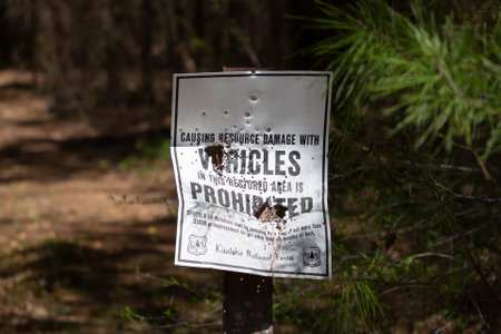 KISATCHIE NATIONAL FOREST RECREATION AREA AT CORNEY LAKE LOUISIANA/USA â MARCH 9 2022: Sign destroyed by bullet holes that notes that damaging the area past it with vehicular traffic is forbidden and a fineable offenceのeditorial素材