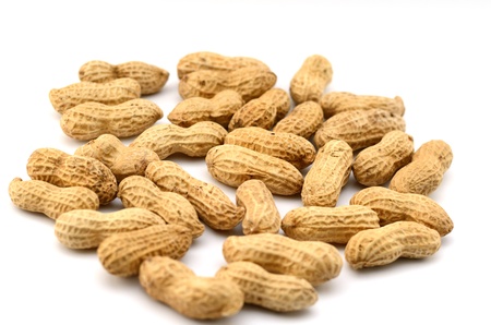 Peanuts on white backgroundの写真素材