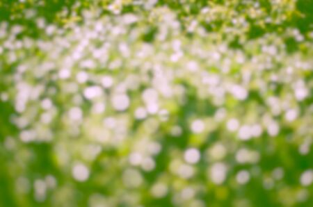 Blurred natural bokeh, designed for adding text overlays and any creative ideas.の写真素材