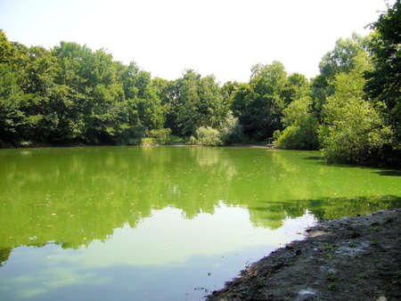 Small lakeの写真素材