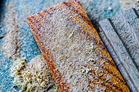 White oak hardwood floor planks with sawdustの写真素材