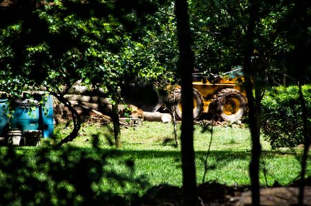 CAT 246 2003 pushing logsの写真素材