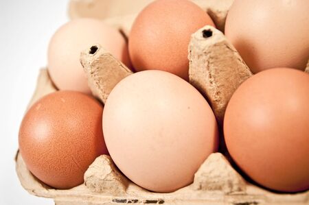 Fresh eggs