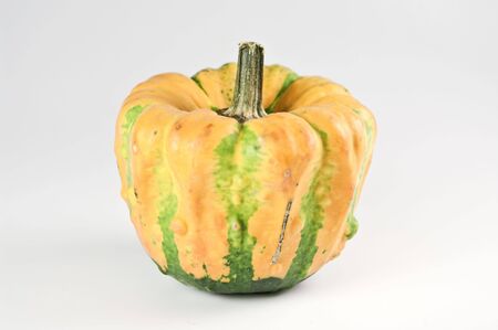 Mini pumpkin on whiteの写真素材