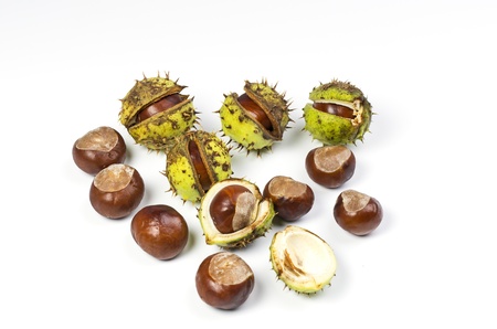 Chestnut with or without shell の写真素材