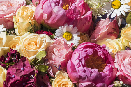 Peonies, roses and daisiesの写真素材