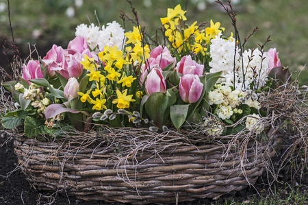 Basket with spring flowersの写真素材