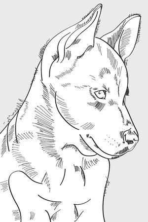 Hand drawn dog outline. Vector illustration eps 8のイラスト素材