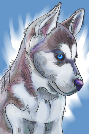 Hand drawn watercolor cute siberian Huskies puppy on blue winter background. Vector illustration eps 10のイラスト素材