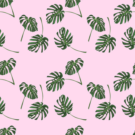Monstera Tropical leaves seamless pattern on pink background. Vector illustrationのイラスト素材