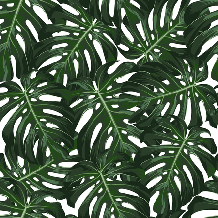 Monstera Tropical leaves seamless pattern on white background. Vector illustrationのイラスト素材