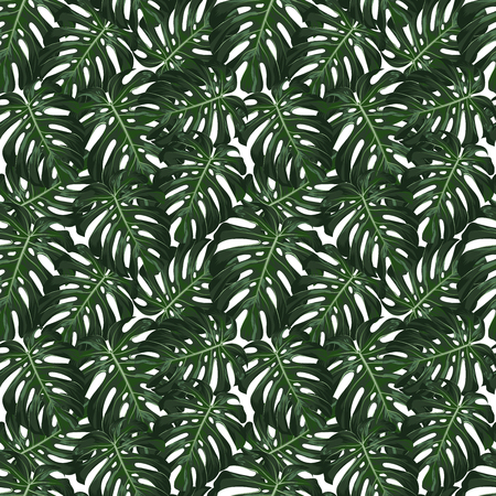 Monstera Tropical leaves seamless pattern on white background. Vector illustrationのイラスト素材