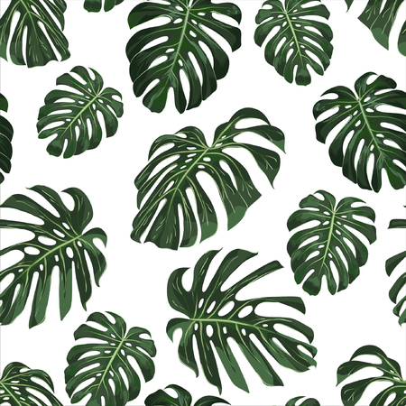 Monstera Tropical leaves seamless pattern on white background. Vector illustrationのイラスト素材