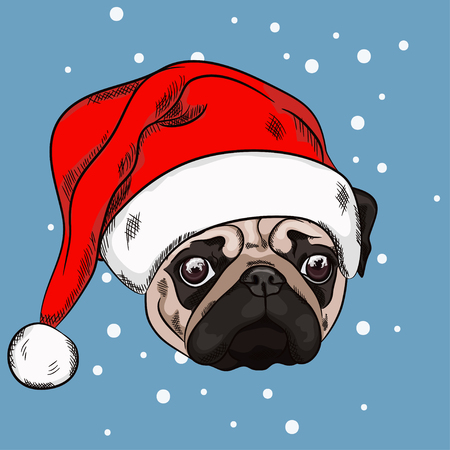 Portrait of cute pug in christmas hat on blue background. Vector illustration. Santa Claus. New Year's and Christmas.のイラスト素材