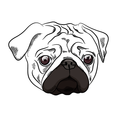 Outline Pug dog head on white background. Vector illustrationのイラスト素材
