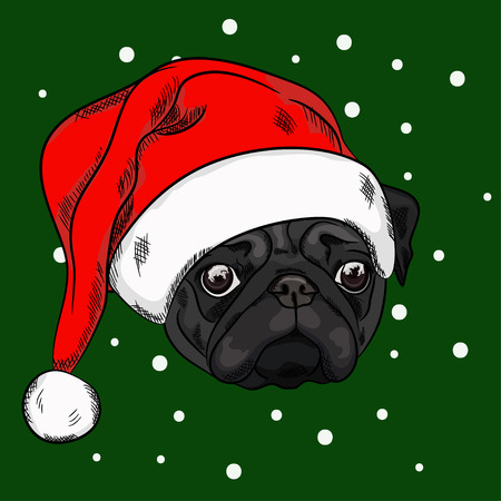 Portrait of a black pug in christmas hat on green background. Vector illustrationのイラスト素材