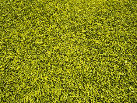 Artificial Grass Field Top View Textureの写真素材