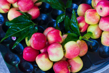 Red apples with leavesの写真素材